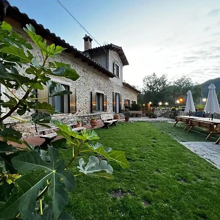 Spacious House In Ogassa With Terrace And Bbq Dış mekan fotoğraf